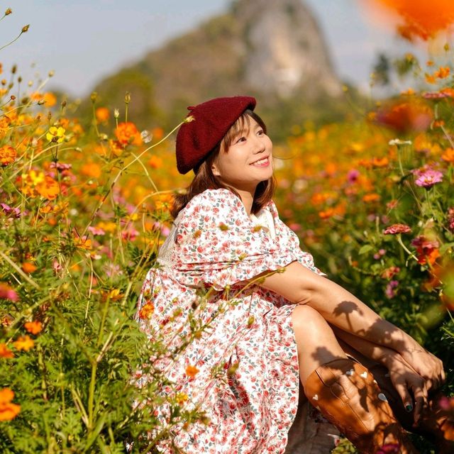 คาเฟ่โฮมมี่ สไตล์คอทเทจ🌻🌼