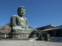 มาญี่ปุ่นต้องมาสักการะพระใหญ่แห่งเมืองคามาคุระ 🇯🇵