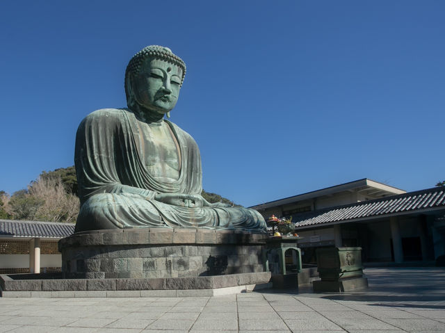 มาญี่ปุ่นต้องมาสักการะพระใหญ่แห่งเมืองคามาคุระ 🇯🇵