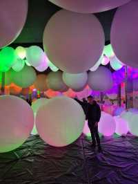 Teamlab Forest Fukuoka 🌳