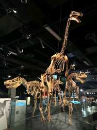 Melbourne Museum is a must-visit destination