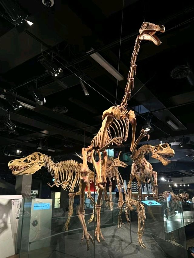 Melbourne Museum is a must-visit destination