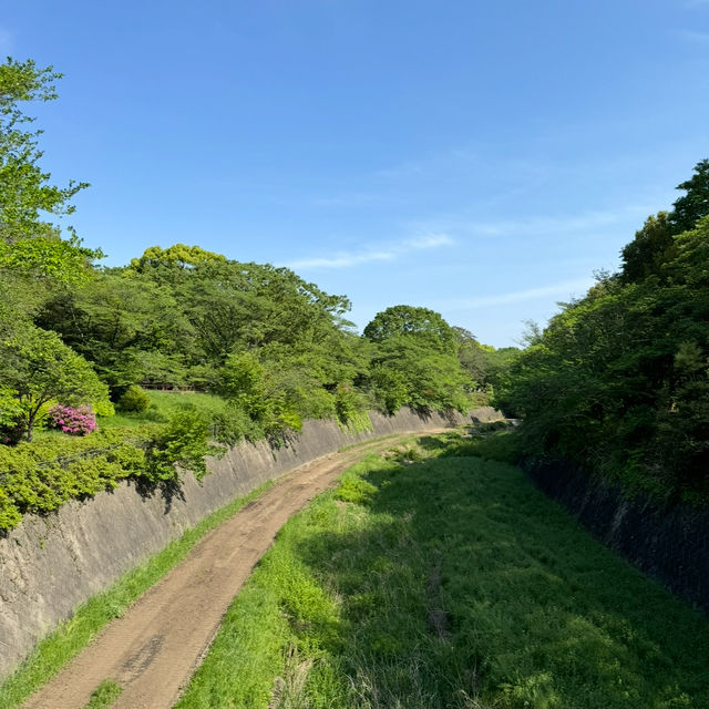 都内とは思えないほど美しい自然に出会える大きな公園、昭和記念公園😍❤️