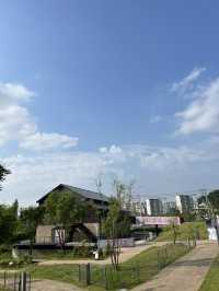 เที่ยว Seoul Botanic Park 