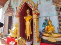 สักการะ หลวงพ่อโต และ หลวงพ่อธรรมจักรขจัดภัย