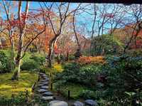 ☾︎京都☽︎ 洗練された静かで美しい日本庭園
