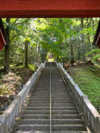 Shorinzan Daruma-ji วัดแห่งดารุมะ 🎏