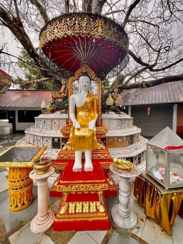 วัดพระธาตุดอยสุเทพราชวรวิหาร @เชียงใหม่