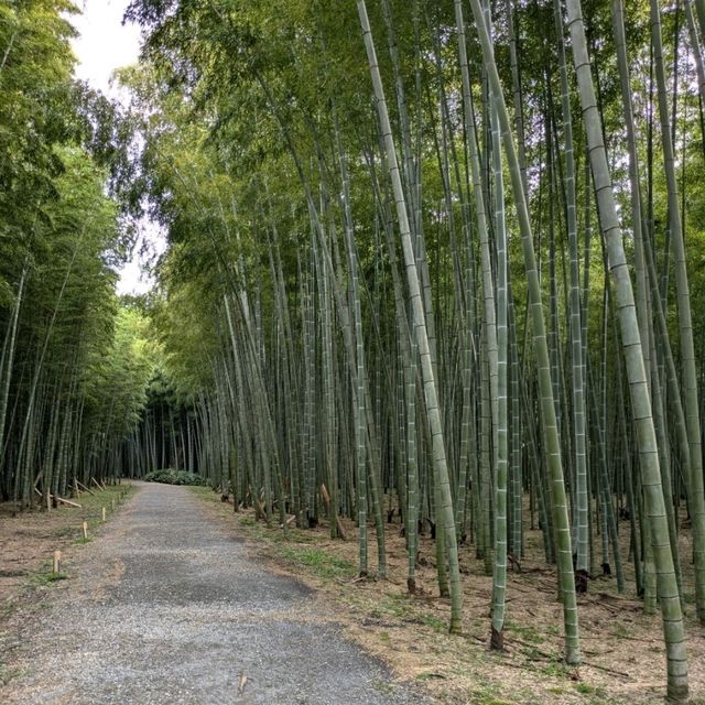 【栃木県】宇都宮〜王道観光&グルメ〜