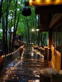 【北海道×3泊4日の旅】森の中のログハウス ライトアップは幻想的