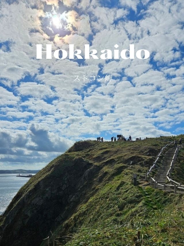 【礼文島最北端の岬】