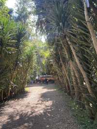 Tad Fane Waterfall : Paksong