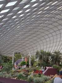 ✨Flower Dome Singapore