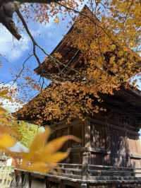 京都｜盡顯禪意之美-常寂光寺 風水布局與神佛傳說