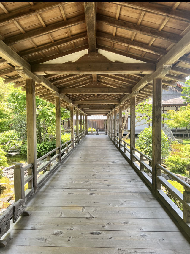 【京都】滝の音を聞きながらお抹茶も楽しめる🍵南禅寺の見どころ5選を紹介⛩️