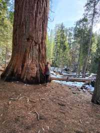 Kings Canyon stands as one of Australian