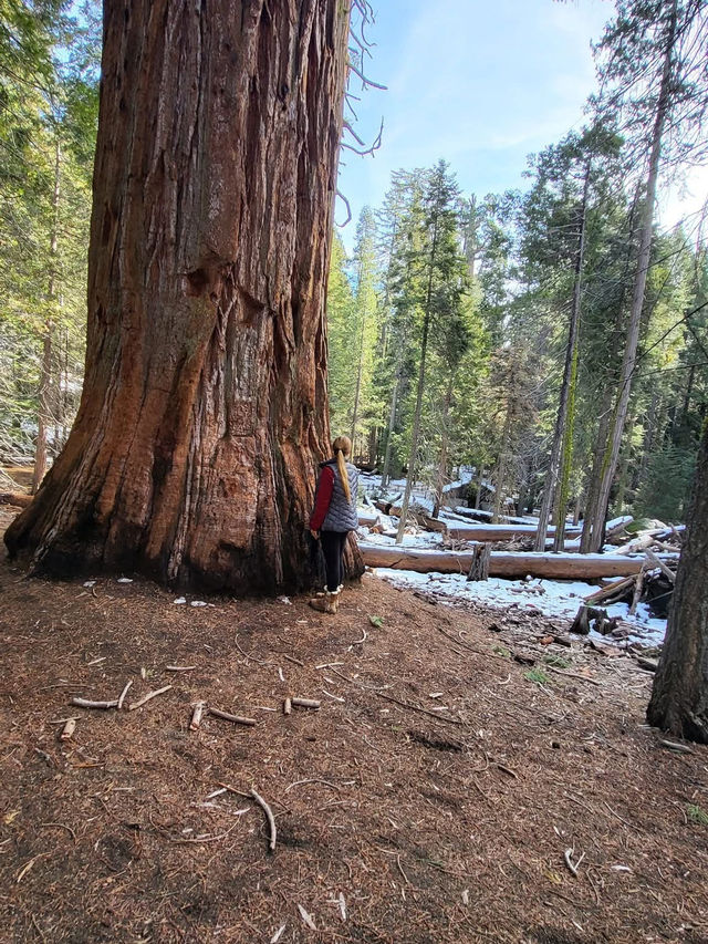 Kings Canyon stands as one of Australian