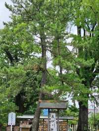 ■阿蘇神社