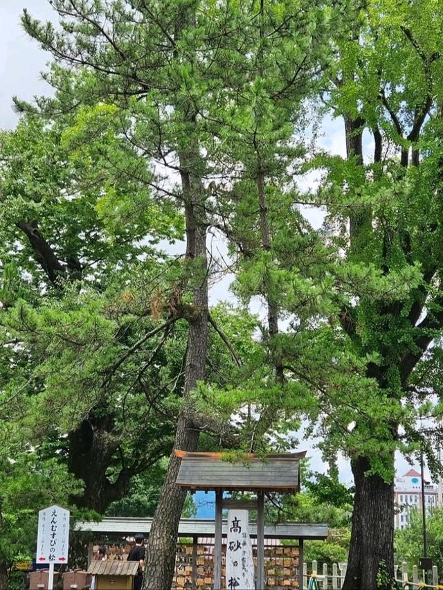 ■阿蘇神社