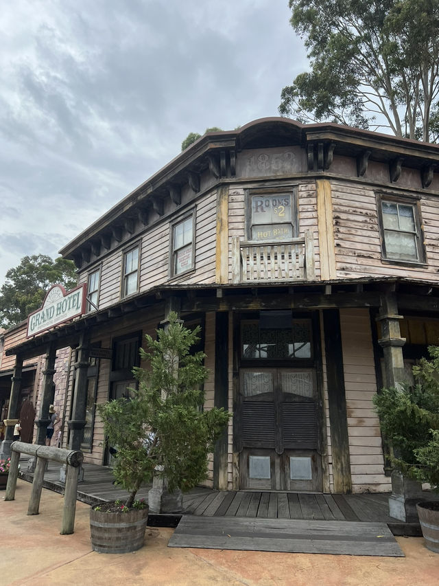 Complete Guide of Scenic World