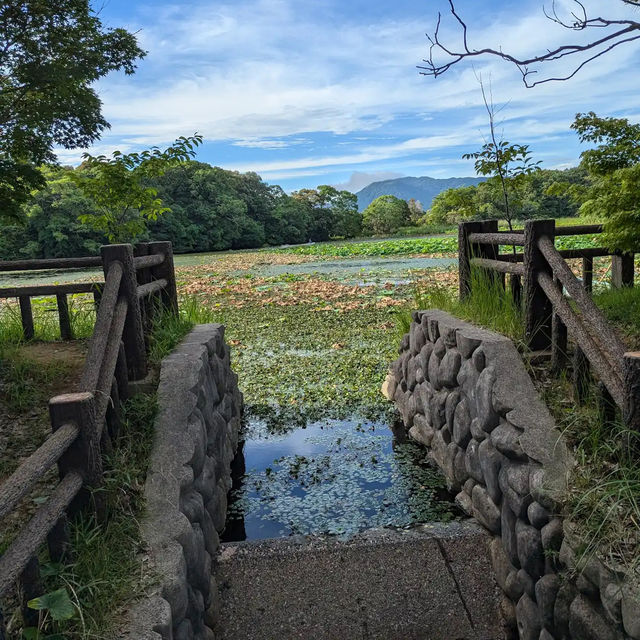 薦神社（大貞八幡宮）