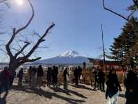 日本｜富士山與忍野八海