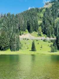 Where Summer Meets Snow – My Journey to Mount Rainier in August