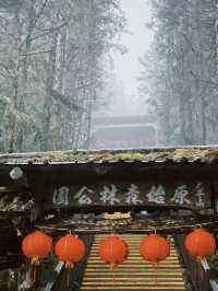 Exploring Tai Ping Shan: Taiwan’s Hidden Outdoor Adventure Paradise