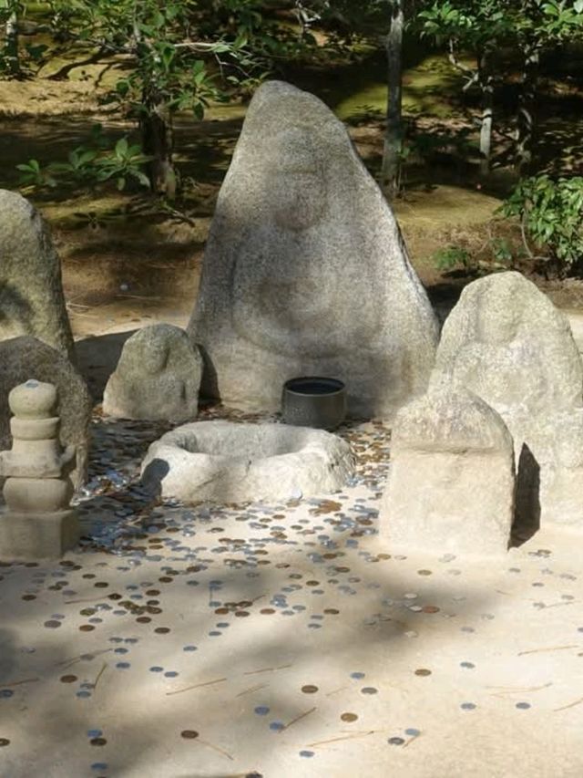 วัดคิงกะกุ金閣寺
