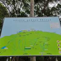 Conquering Gunung Ledang: A Mystical Malaysian Trek⛰️