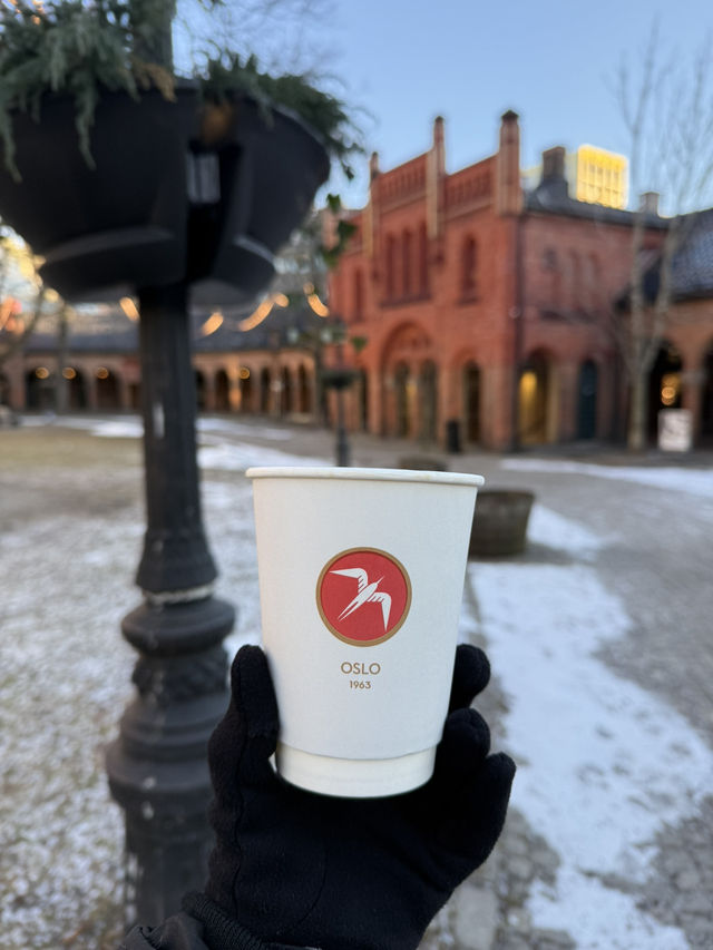 Exploring Oslo: A Solo Adventure🇳🇴