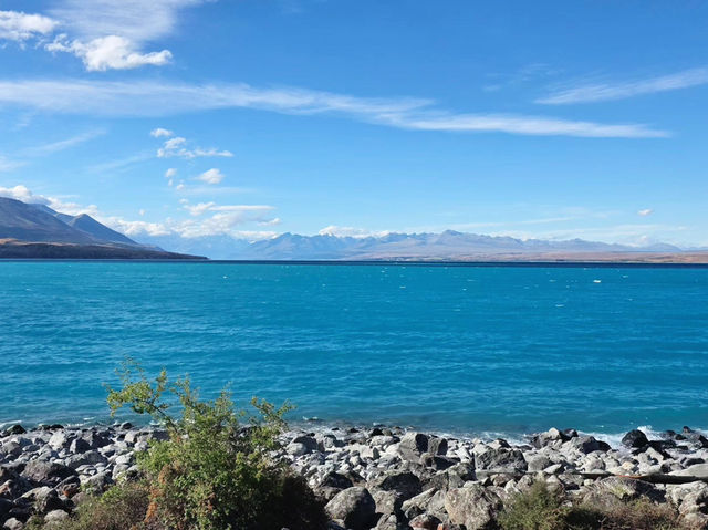 新西蘭南島｜普卡基湖🏞️