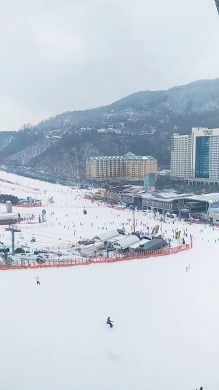 🇰🇷 Vivaldi Park Ski Trip: A Winter Wonderland for All!
