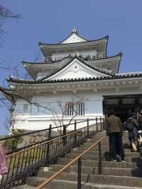 【神奈川・小田原】小田原城🏯