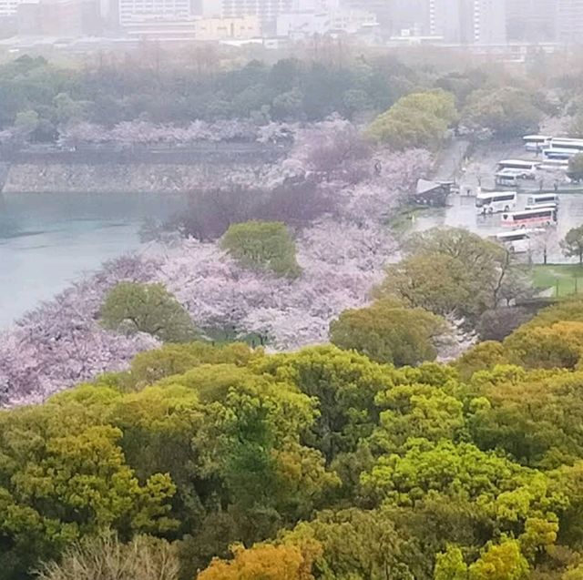 Osaka Museum of History (大阪歴史博物館) – A Journey Through Time