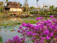 บ้านปลายนา เชียงราย