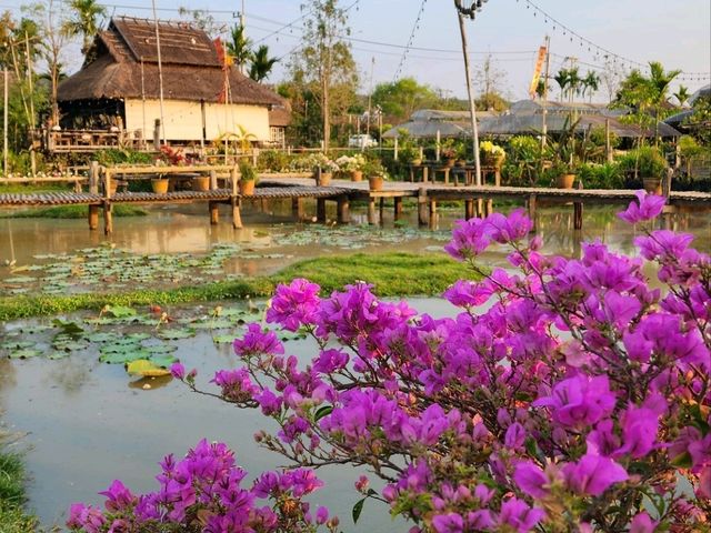 บ้านปลายนา เชียงราย