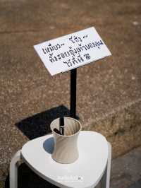 งานนืทรรศการสำหรับคนรักแมว