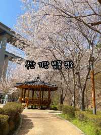 귀여운 배와 벚꽃을 구경할 수 있는 부산 명소
