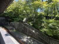 A Tranquil Stroll Through Eikando: Kyoto’s Hidden Gem