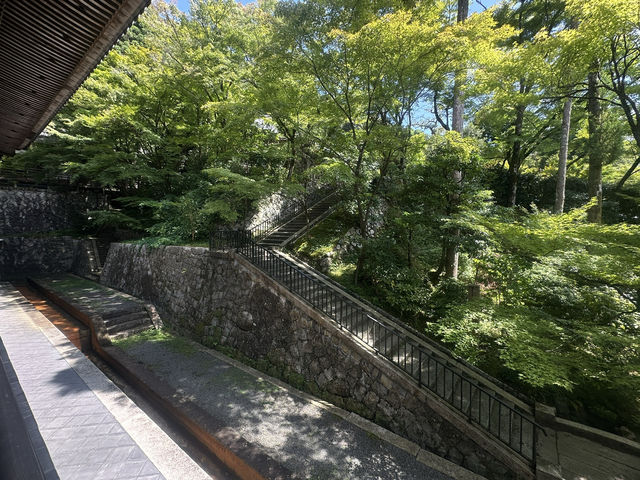 A Tranquil Stroll Through Eikando: Kyoto’s Hidden Gem
