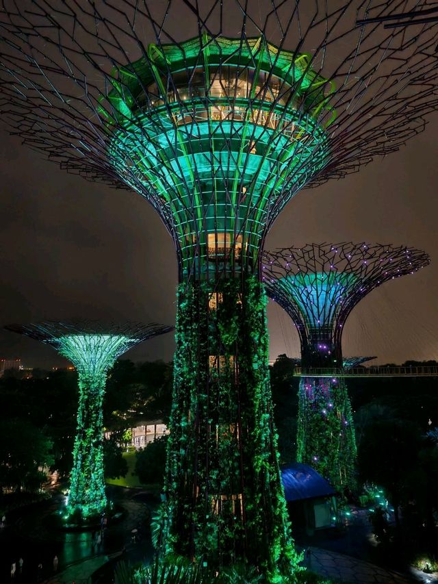 Why you must visit Gardens by the bay when you visit Singapore