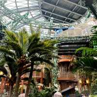 รีวิวโซน Jurassic World- Universal Beijing
