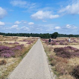 Hoge Veluwe National Park
