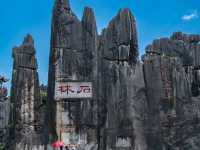 "Kunming: The City of Eternal Spring"