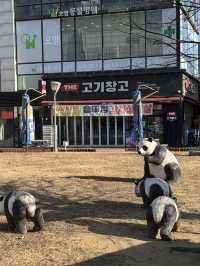 一山湖水公園林蔭道：浪漫與自然的完美交融 🌳✨