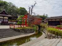 【京都】賀茂神社で水みくじを体験