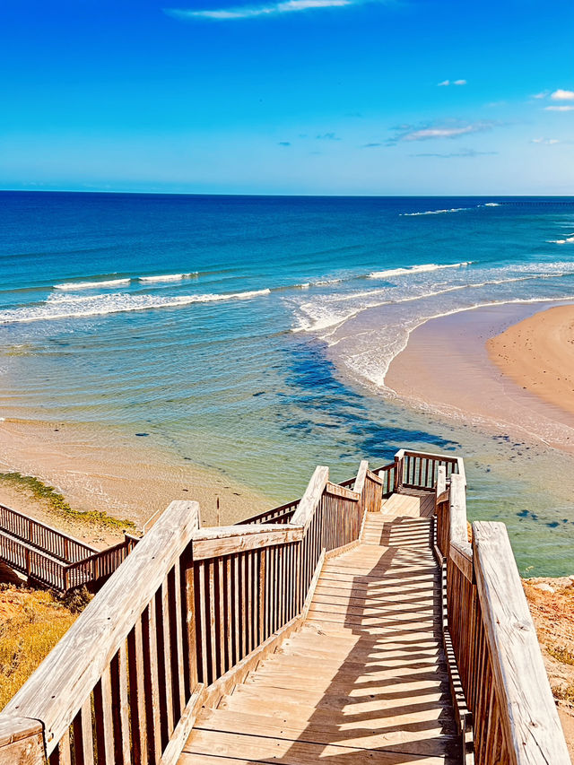 South Australia Road Trip: Sydney to SA🚗🏝️   