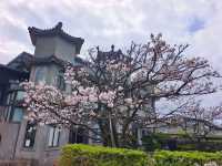 東方寺賞櫻美景