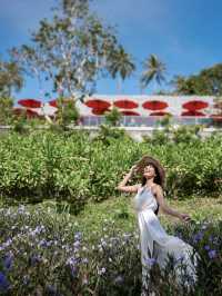 Island Escape Burasari รีสอร์ตหรูบนเกาะมะพร้าว